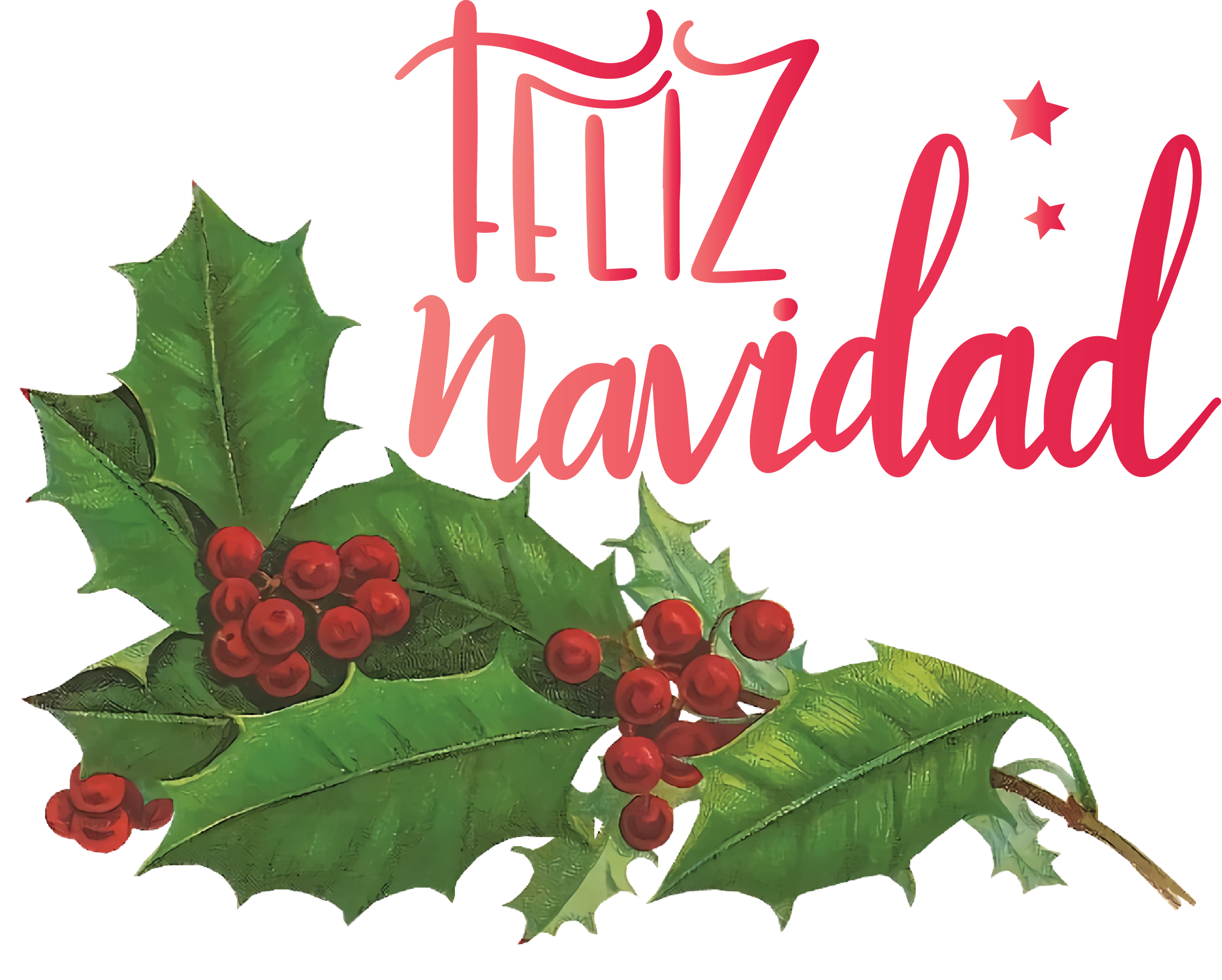 Festival de Invierno